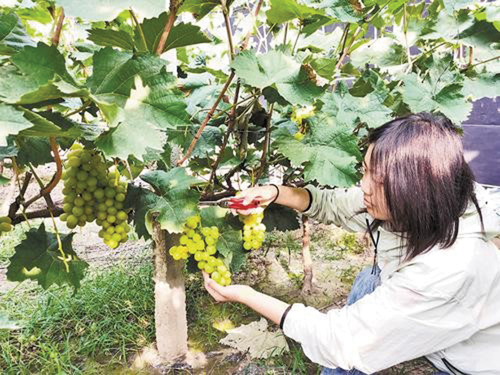 1697509733561671.jpg 414.jpg