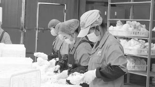 1697597697150595.jpg 2.jpg