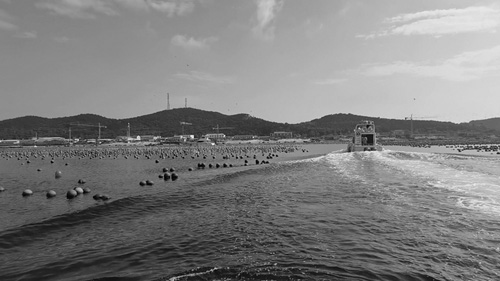 1698029458480098.jpg 33.jpg