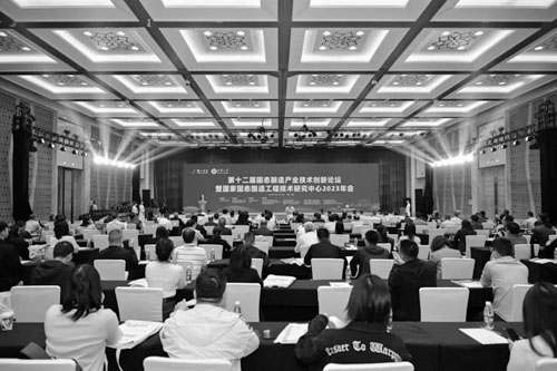 1698292485725154.jpg 3.jpg