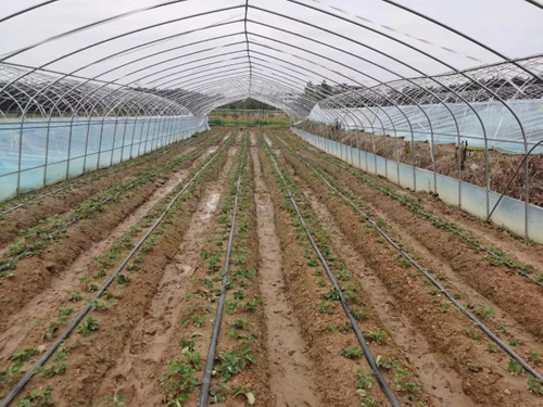 1698723644245824.jpg 5.jpg