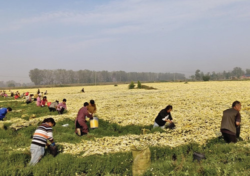 1698723902410054.jpg 8.jpg