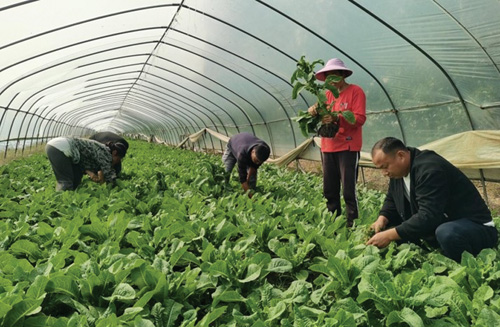 1698723919213826.jpg 88.jpg