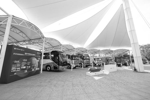 1699502211924940.jpg 31.jpg