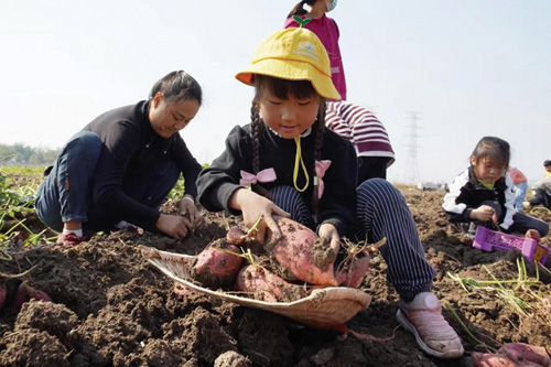 1699594141784068.jpg 1.jpg