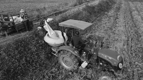 1699594297949739.jpg 22.jpg