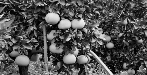 1700449382234007.jpg 2.jpg