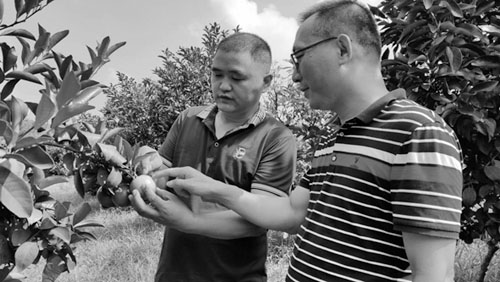 1702277535109878.jpg 1234.jpg