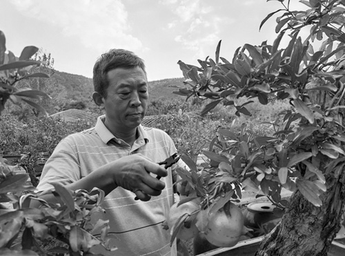 1703576609172799.jpg 6.jpg