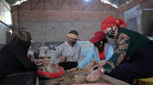 微信图片_20240515095246 副本.jpg