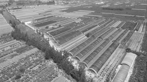 1716873652351433.jpg 666 副本.jpg