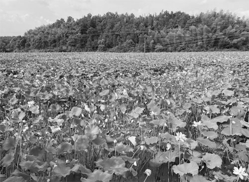 1716873668294206.jpg 6 副本.jpg