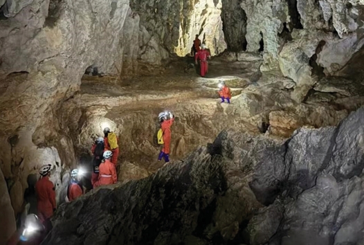 1729044112825863.jpeg 安全绳.jpeg