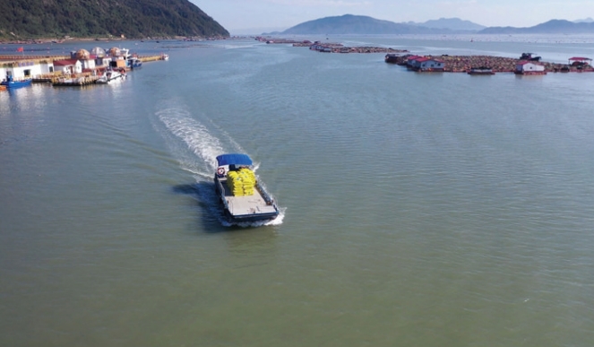 1740536147196898.jpeg 屏幕截图_26-2-2025_94351_.jpeg