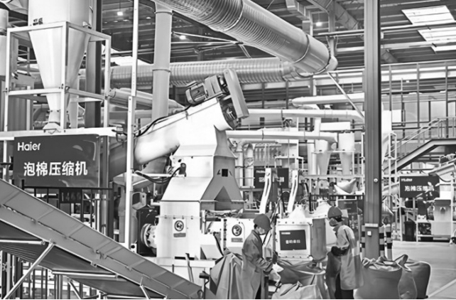 1740536636265542.jpeg 屏幕截图_26-2-2025_94533_.jpeg