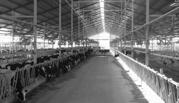 1742954926314489.jpeg 屏幕截图_26-3-2025_94416_.jpeg