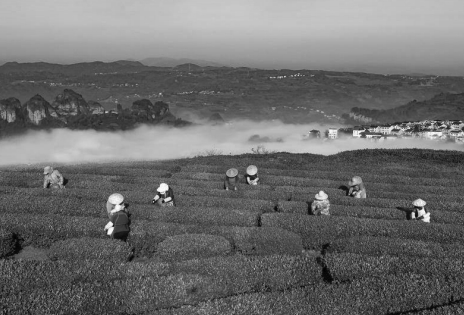 1742955817132269.jpeg 屏幕截图_26-3-2025_94520_.jpeg