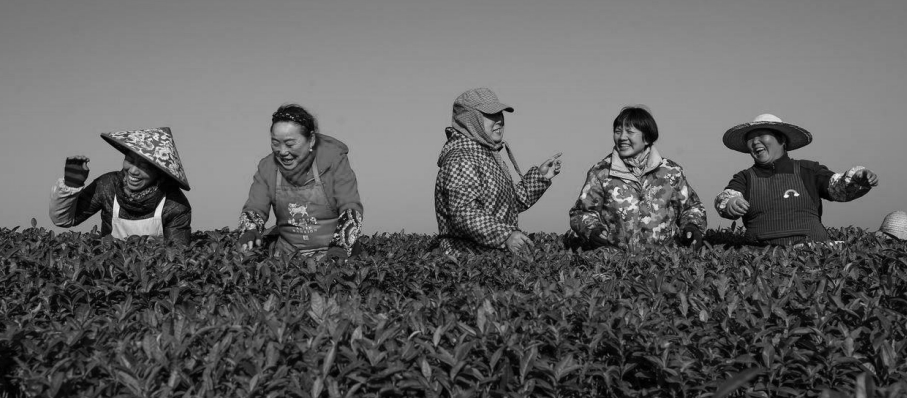 1742955846624082.jpeg 屏幕截图_26-3-2025_94529_.jpeg