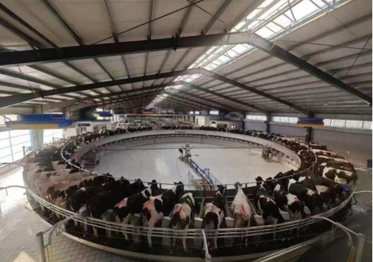 1742956363659688.jpeg 屏幕截图_26-3-2025_94629_.jpeg