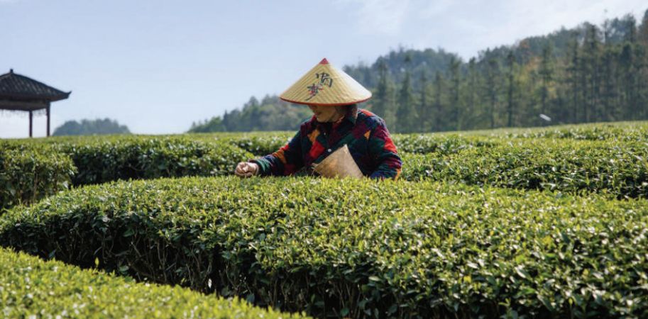 1762913231412683.jpg 截图20251112095922.jpg