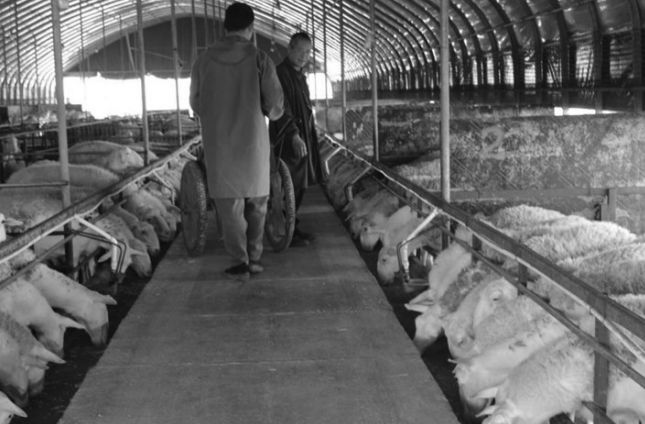 1763691842249848.jpg 截图20251121101447.jpg