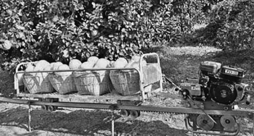 1764295980215133.png screenshot-1764294703516.png