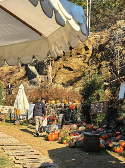 1765331632271466.jpg ScreenShot_2025-12-10_094830_849.jpg