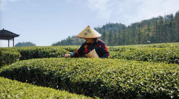 1765763647993023.jpg ScreenShot_2025-12-15_094547_231.jpg