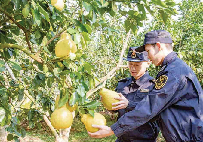 1766456009241569.jpg ScreenShot_2025-12-23_100316_732.jpg