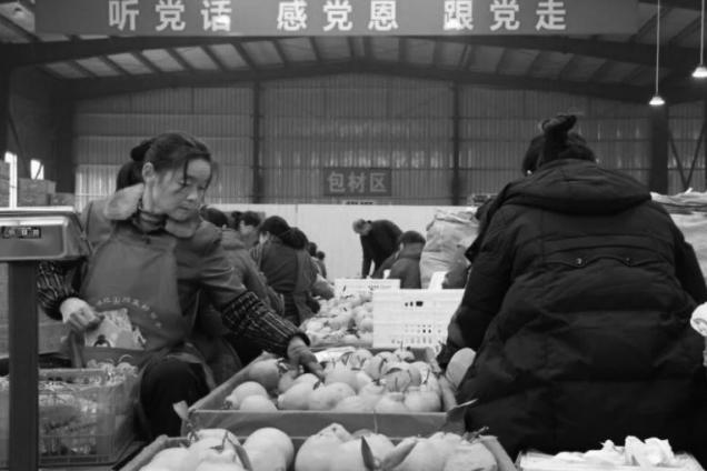 1768357384598815.jpg ScreenShot_2026-01-14_095418_162.jpg