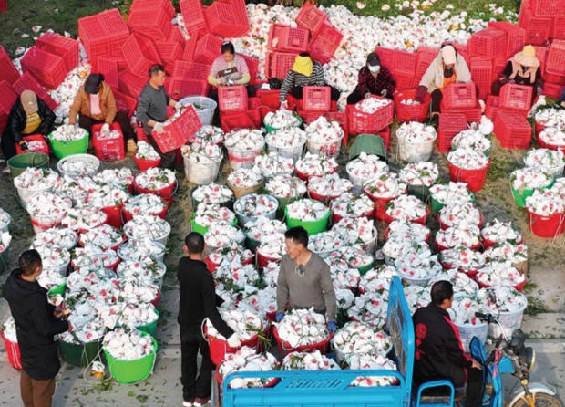 1768960686942725.jpg ScreenShot_2026-01-21_094759_114.jpg