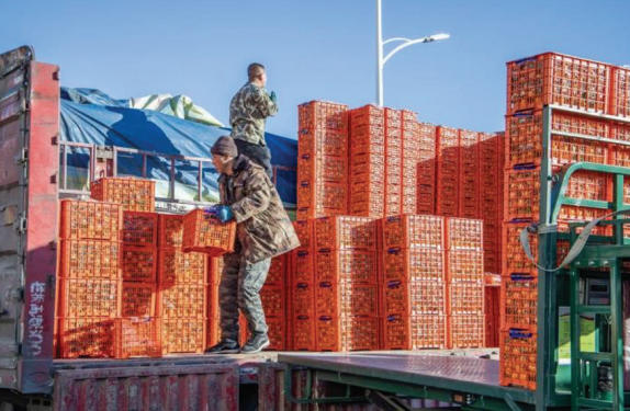 1769134808997181.jpg ScreenShot_2026-01-23_100614_713.jpg