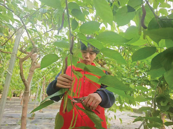 1770689014488837.jpg ScreenShot_2026-02-10_095654_166.jpg