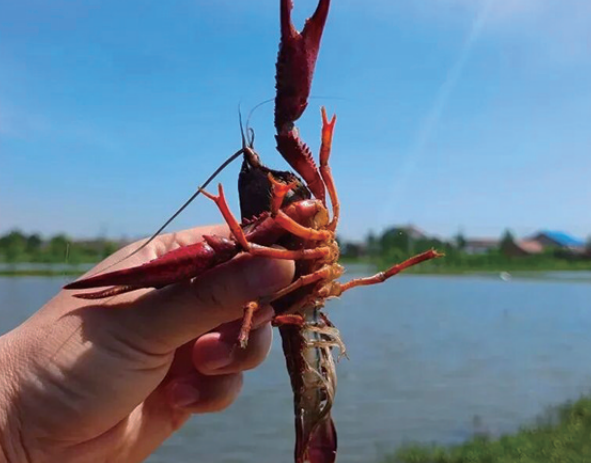 1770859969688340.png 微信图片_2026021209204616.png