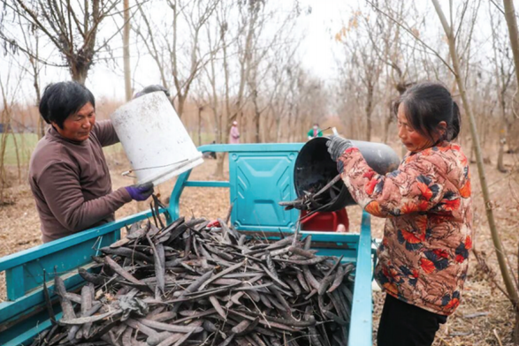 1770860099172390.png 微信图片_2026021209204622.png